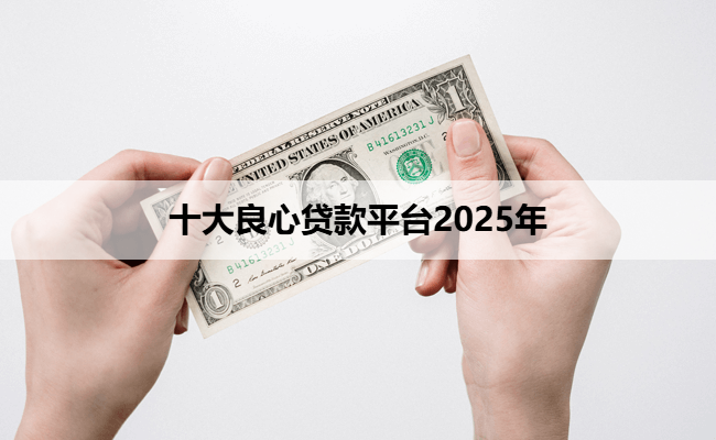 十大良心贷款平台2025年
