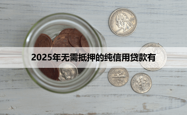 2025年无需抵押的纯信用贷款有