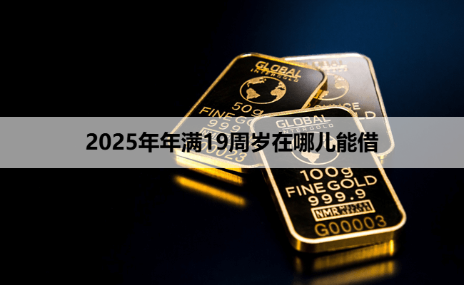 2025年年满19周岁在哪儿能借