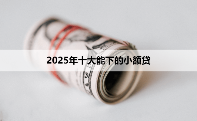 2025年十大能下的小额贷