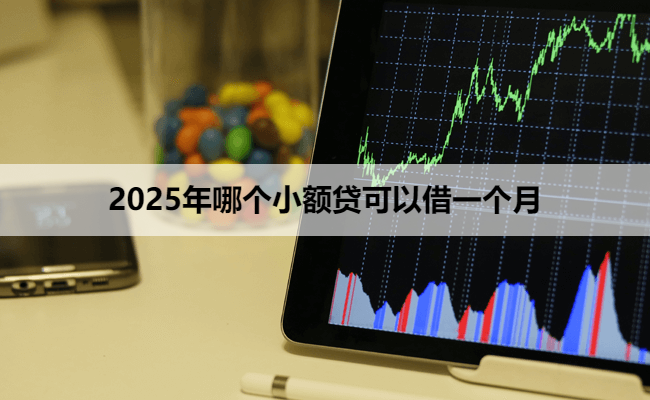 2025年哪个小额贷可以借一个月
