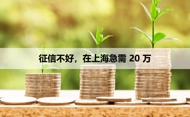 征信不好，在上海急需 20 万