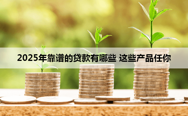 2025年靠谱的贷款有哪些 这些产品任你