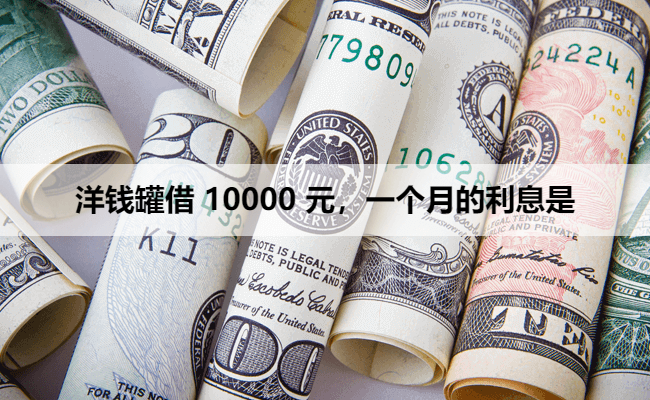 洋钱罐借 10000 元，一个月的利息是