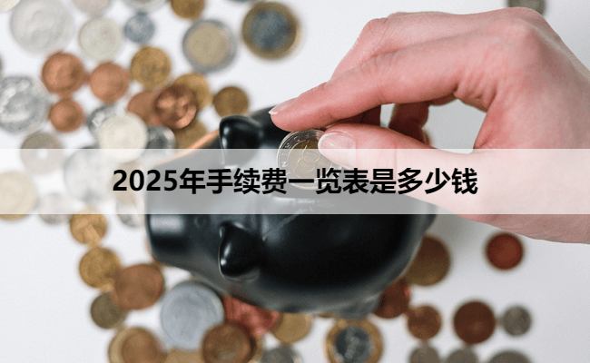 2025年手续费一览表是多少钱
