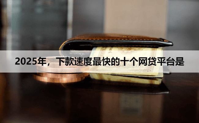 2025年，下款速度最快的十个网贷平台是