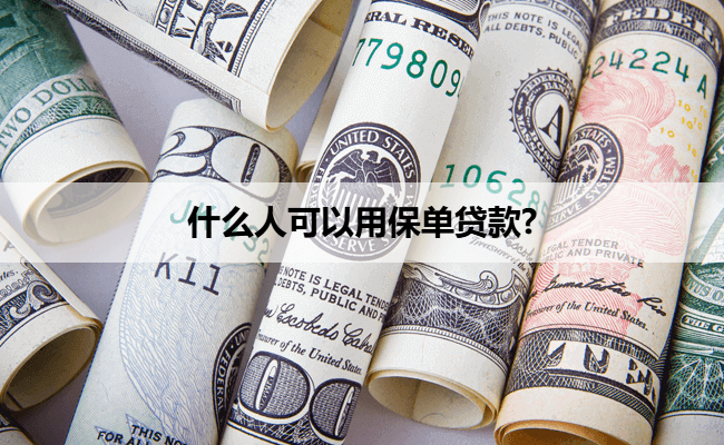 什么人可以用保单贷款?