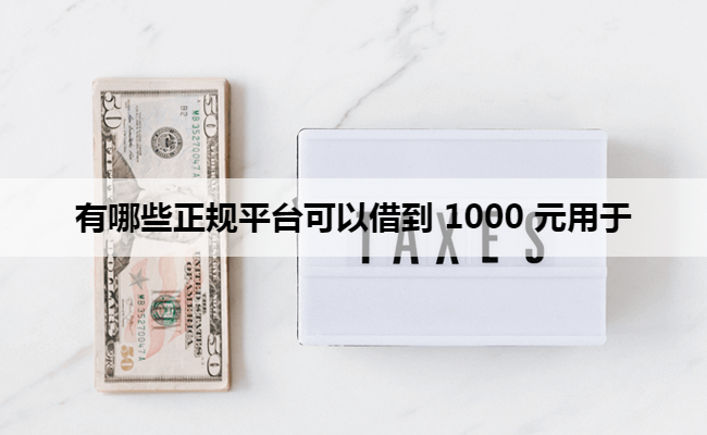 有哪些正规平台可以借到 1000 元用于
