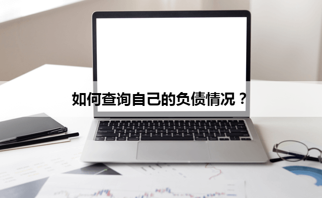 如何查询自己的负债情况？