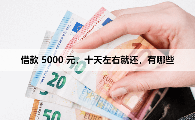 借款 5000 元，十天左右就还，有哪些