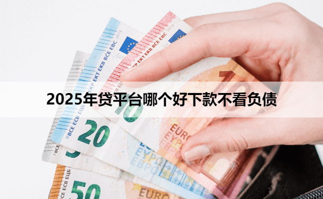 2025年贷平台哪个好下款不看负债
