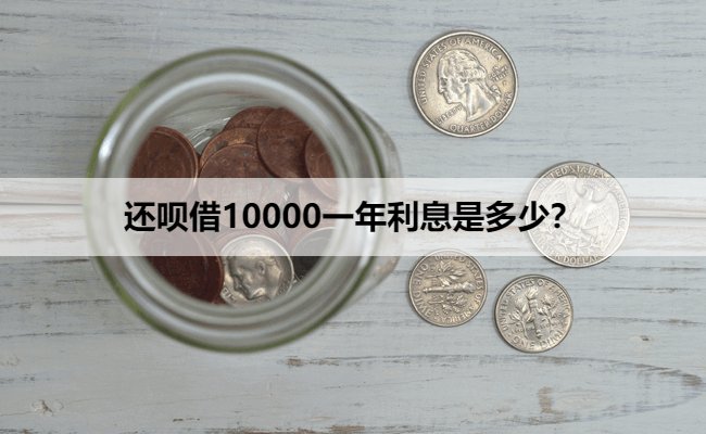 还呗借10000一年利息是多少？