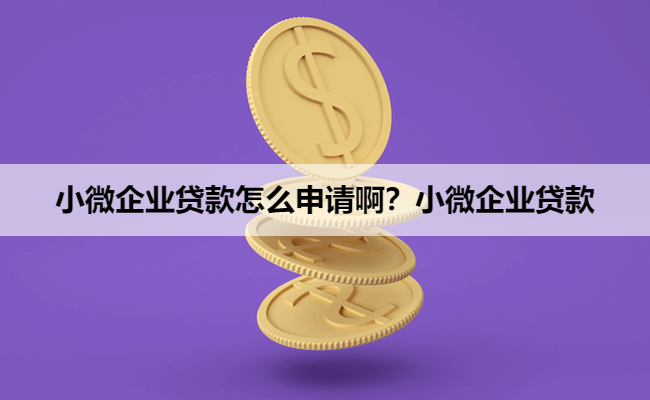 小微企业贷款怎么申请啊？小微企业贷款