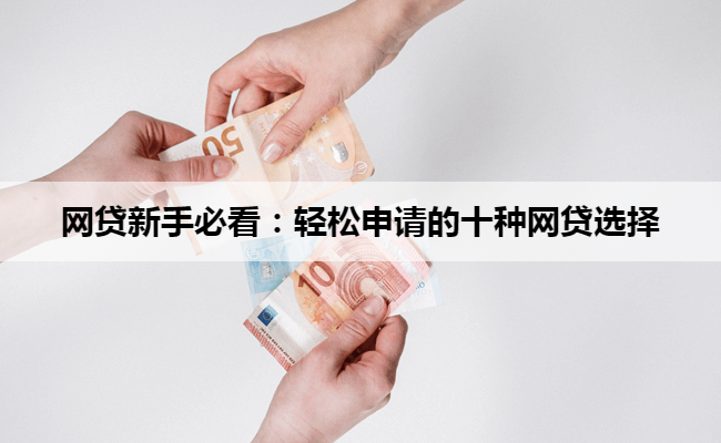 网贷新手必看：轻松申请的十种网贷选择