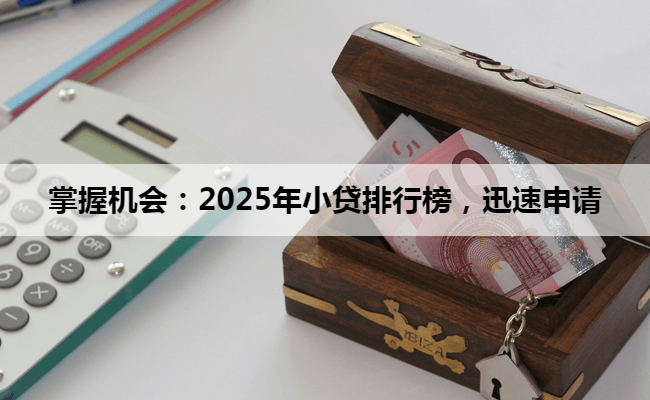 掌握机会：2025年小贷排行榜，迅速申请