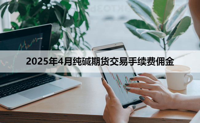 2025年4月纯碱期货交易手续费佣金