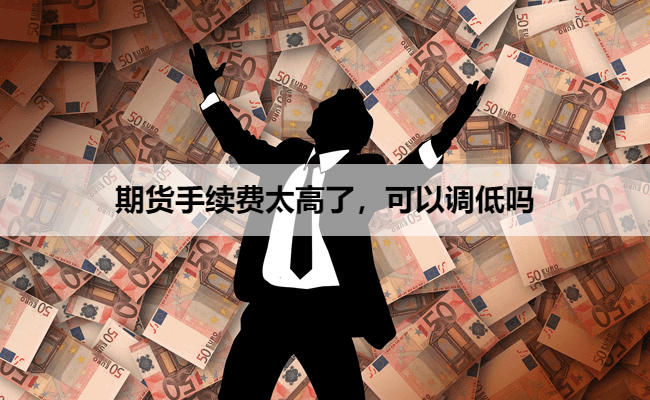 期货手续费太高了,可以调低吗