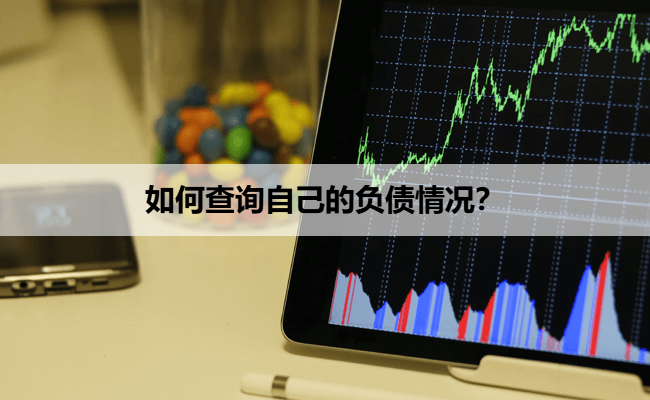 如何查询自己的负债情况？