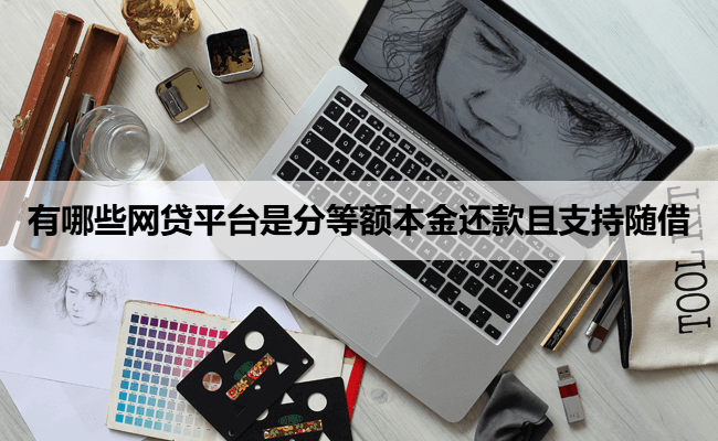 有哪些网贷平台是分等额本金还款且支持随借
