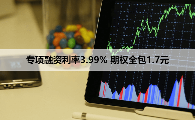 专项融资利率3.99% 期权全包1.7元
