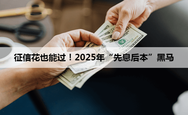 征信花也能过！2025年“先息后本”黑马