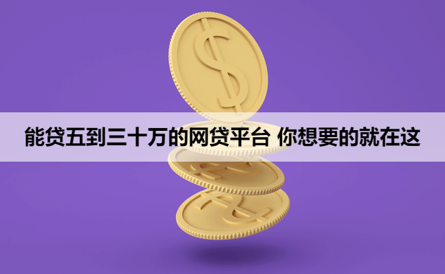 能贷五到三十万的网贷平台 你想要的就在这