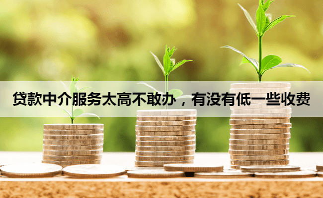 贷款中介服务太高不敢办,有没有低一些收费