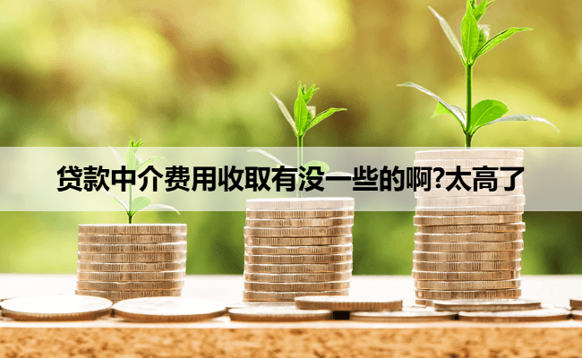 贷款中介费用收取有没一些的啊?太高了