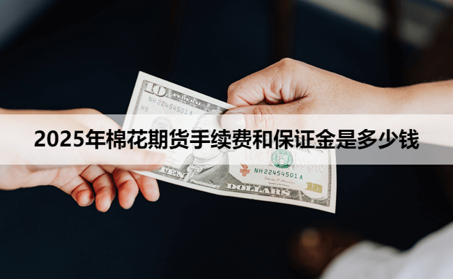 2025年棉花期货手续费和保证金是多少钱