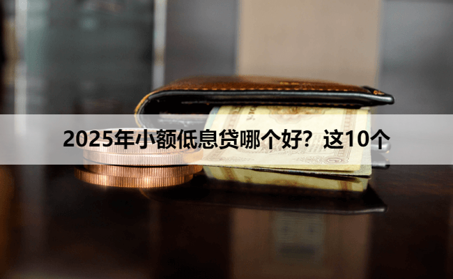 2025年小额低息贷哪个好？这10个