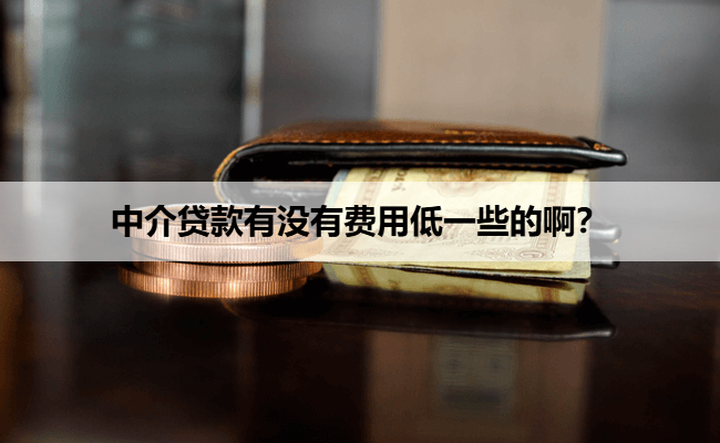 中介贷款有没有费用低一些的啊？