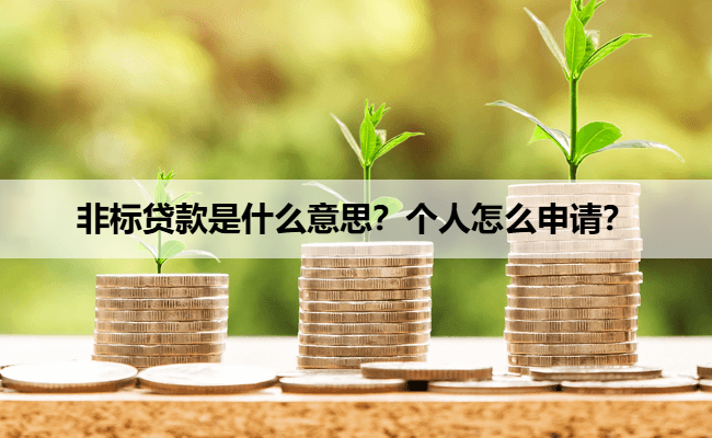 非标贷款是什么意思？个人怎么申请？