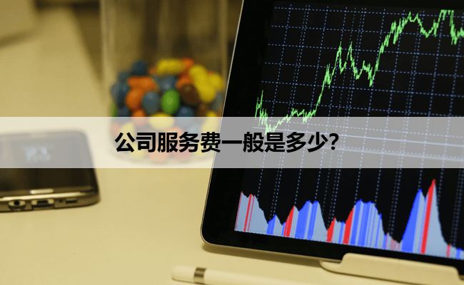 公司服务费一般是多少？