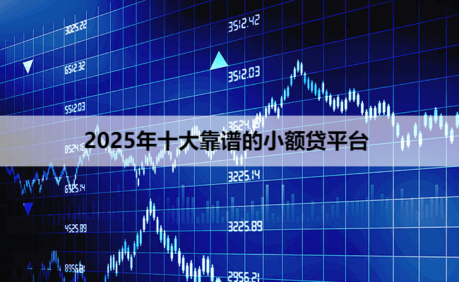 2025年十大靠谱的小额贷平台