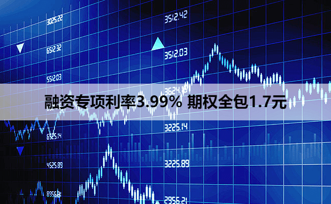 融资专项利率3.99% 期权全包1.7元