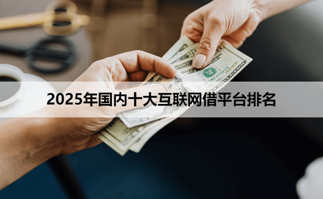 2025年国内十大互联网借平台排名