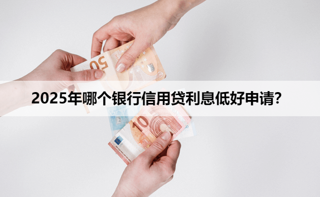 2025年哪个银行信用贷利息低好申请？