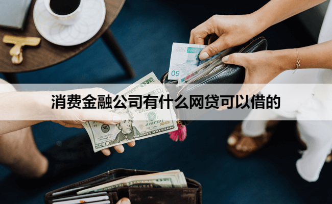 消费金融公司有什么网贷可以借的