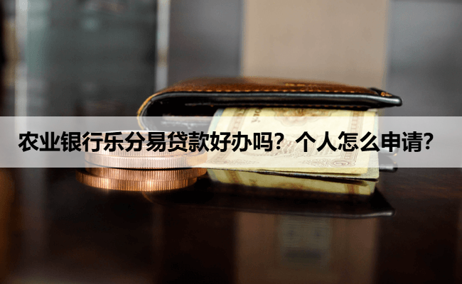 农业银行乐分易贷款好办吗？个人怎么申请？