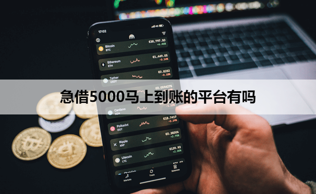 急借5000马上到账的平台有吗