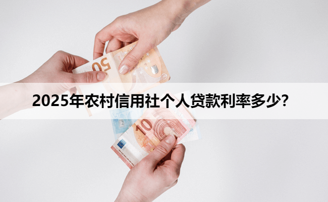 2025年农村信用社个人贷款利率多少？