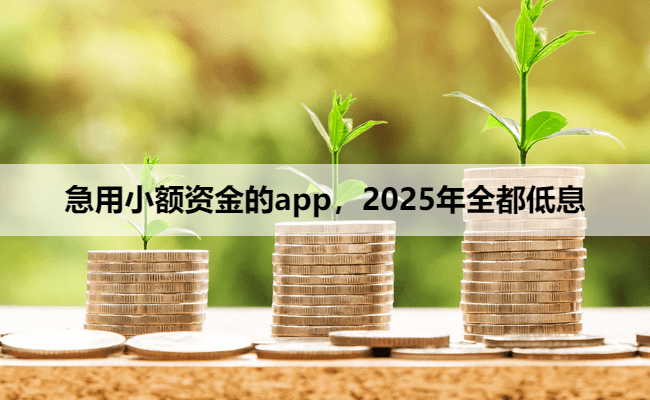 急用小额资金的app,2025年全都低息