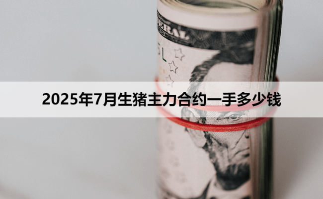 2025年7月生猪主力合约一手多少钱