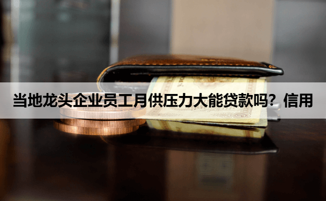 当地龙头企业员工月供压力大能贷款吗？信用