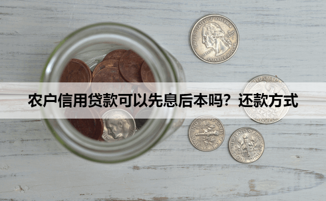 农户信用贷款可以先息后本吗？还款方式