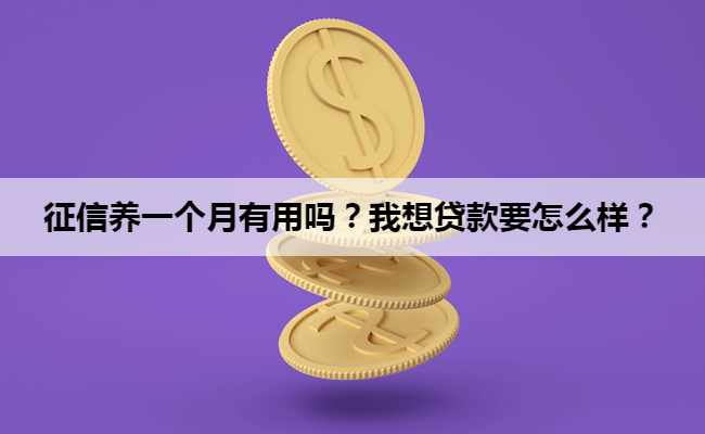 征信养一个月有用吗？我想贷款要怎么样？