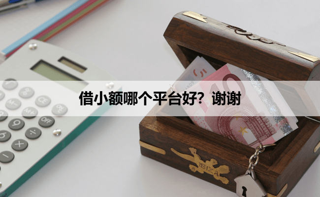 借小额哪个平台好？谢谢
