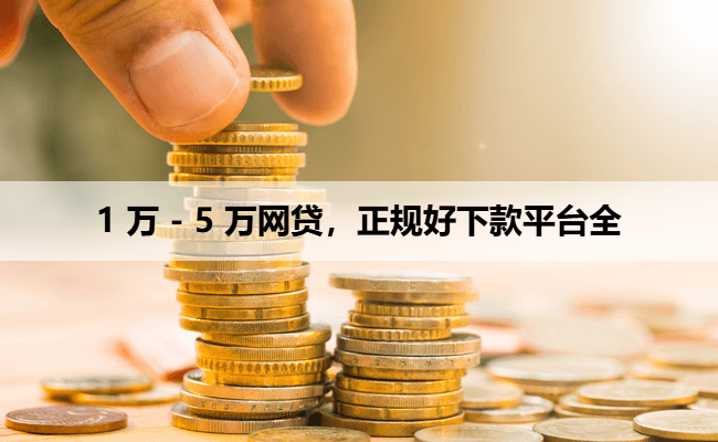 1 万 - 5 万网贷，正规好下款平台全