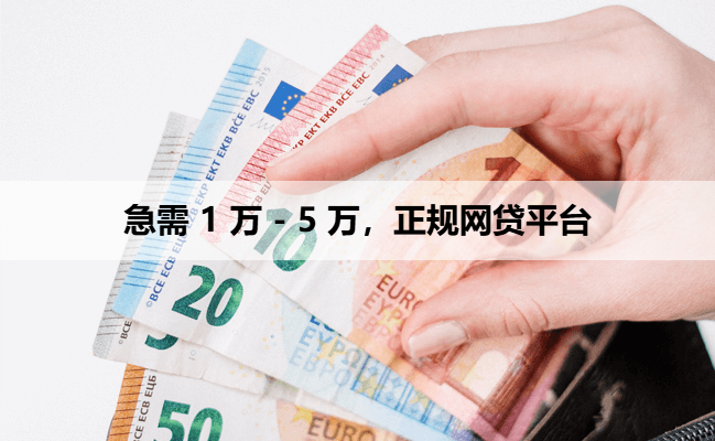 急需 1 万 - 5 万,正规网贷平台