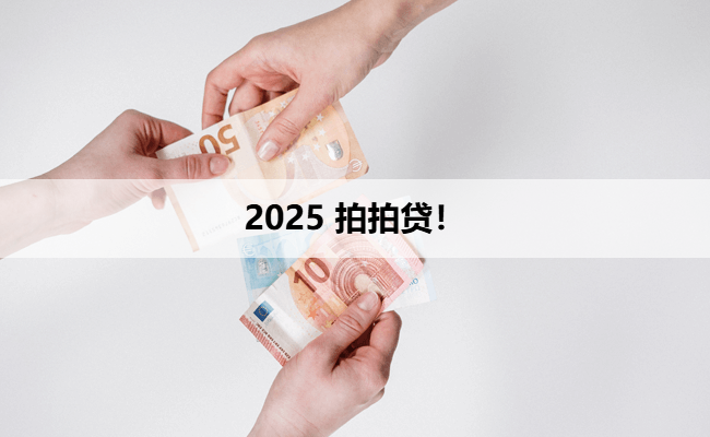 2025 拍拍贷！